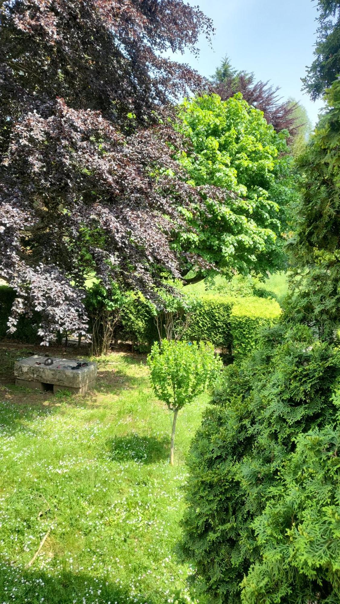 Goutanou Chambre 3 Châtillon-en-Michaille Kültér fotó